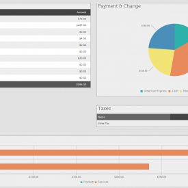 Salon Iris- Reports reports