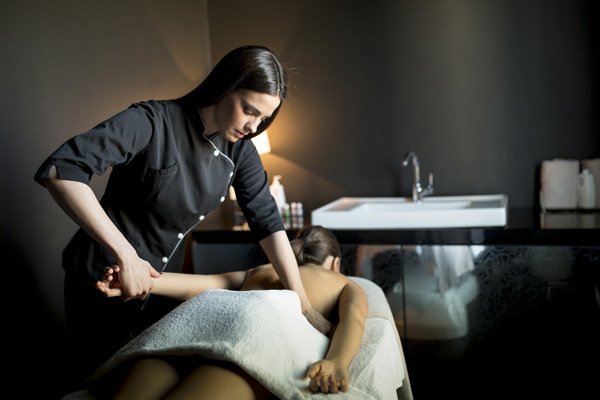 massage therapist software